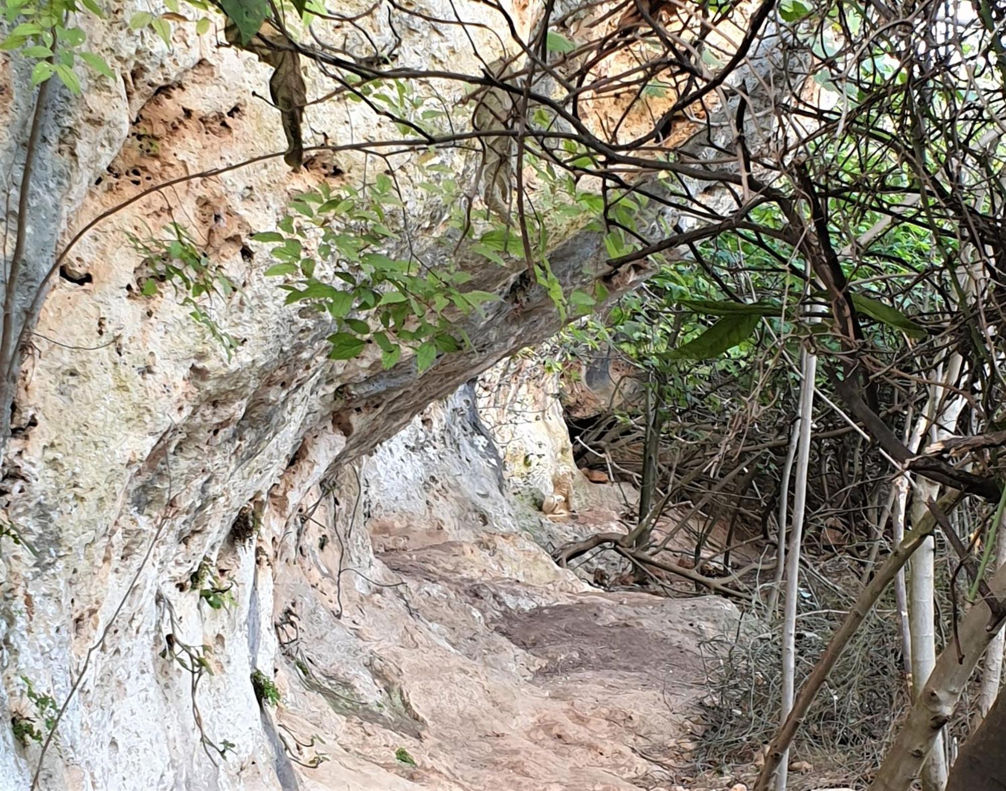 Centro De Naturaleza Canada Verde "El Parque De Naturaleza Con Mas Experiencias De Andalucia" Villa Орначуелос Екстериор снимка