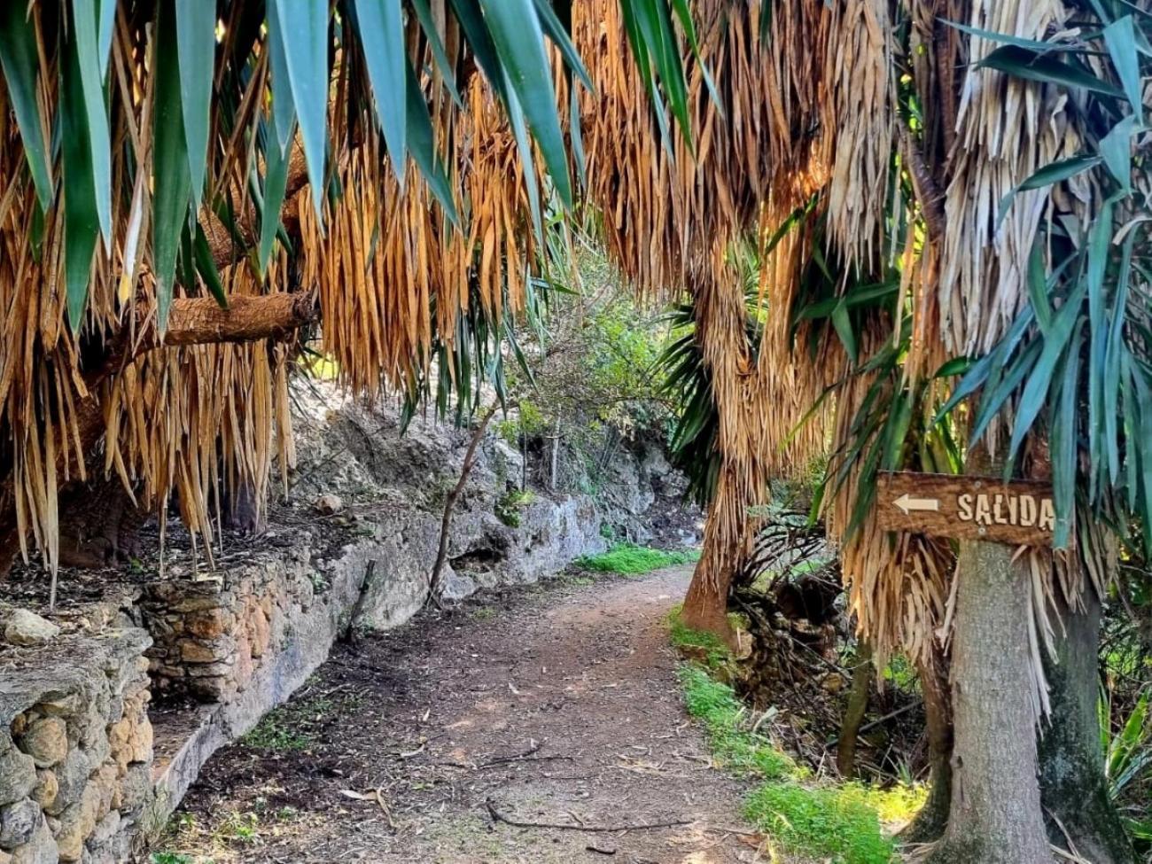 Centro De Naturaleza Canada Verde "El Parque De Naturaleza Con Mas Experiencias De Andalucia" Villa Орначуелос Екстериор снимка